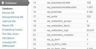 dbmanager dbmanager