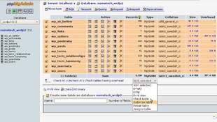 optimisation base de donnée par phpmyadmin optimisation base de donnée par phpmyadmin