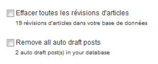 supprimer les révision de postes et de pages wp effacer les révision de postes wp