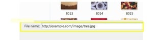 image url dans commentaire wordpress image url dans commentaire wordpress