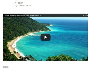 apeçu video dans commentaires wordpress apeçu video dans commentaires wordpress