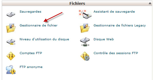 Comment accéder au gestionnaire de fichier dans cPanel Comment accéder au gestionnaire de fichier dans cPanel