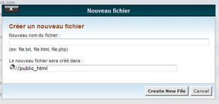 Comment créer un nouveau fichier dans le gestionnaire de fichier dans cPanel Comment créer un nouveau fichier dans le gestionnaire de fichier dans cPanel