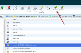 Comment extraire une archive dans le gestionnaire de fichier dans cPanel Comment extraire une archive dans le gestionnaire de fichier dans cPanel