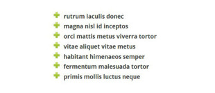 liste à puces wordpress avec image liste à puces wordpress avec image