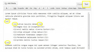 code html des listes à puces dans Wordpress code html des listes à puces dans Wordpress