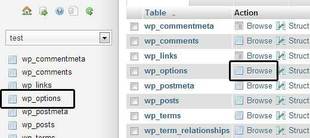 changer wp_options changer wp_options