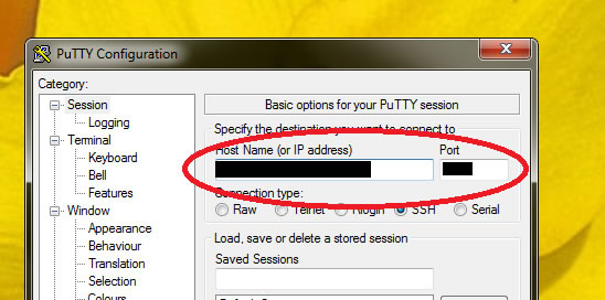 Putty Putty